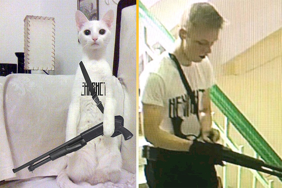 Котик Игроман Новые Серии 2022 Года Котик Игроман Новые Серии 2022 Года